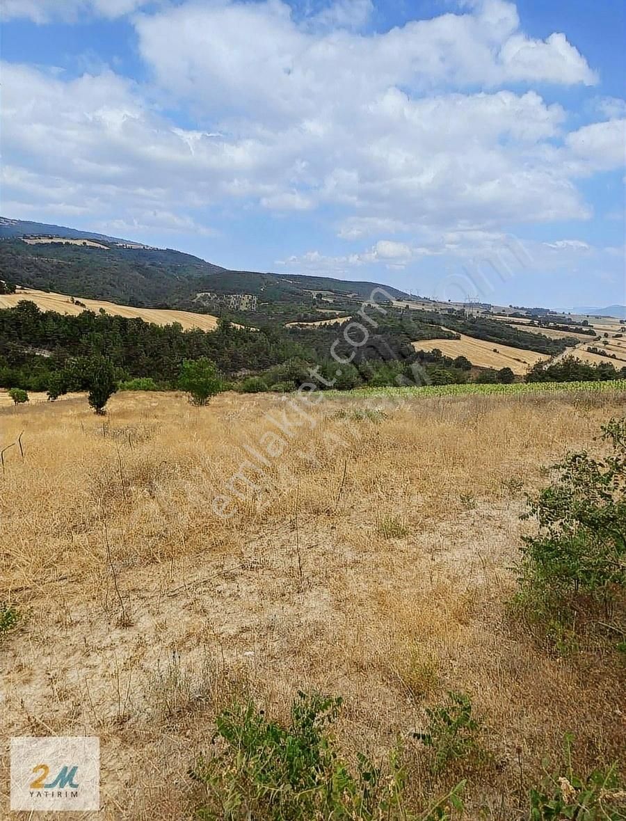 Yenişehir Kızılköy De Yatırımlık Tarla