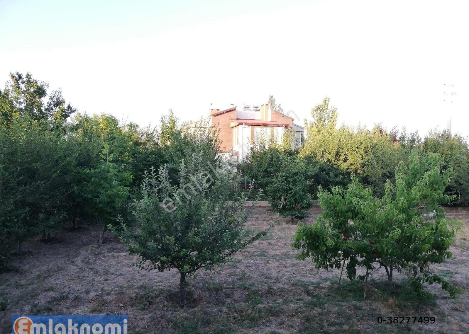 Emlaknomi'den Ayhan Özenoğlu 785 M² 2+1 Yazlık Mh. Müstakil Bahçeli Daire Satılık ( 71175 )