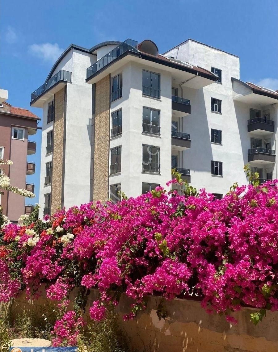 Emlaknomi Alanya-avşallar 1+1 Satılık Daire Sıfır İskanı Var Açık Havuz Hamam Fitnes