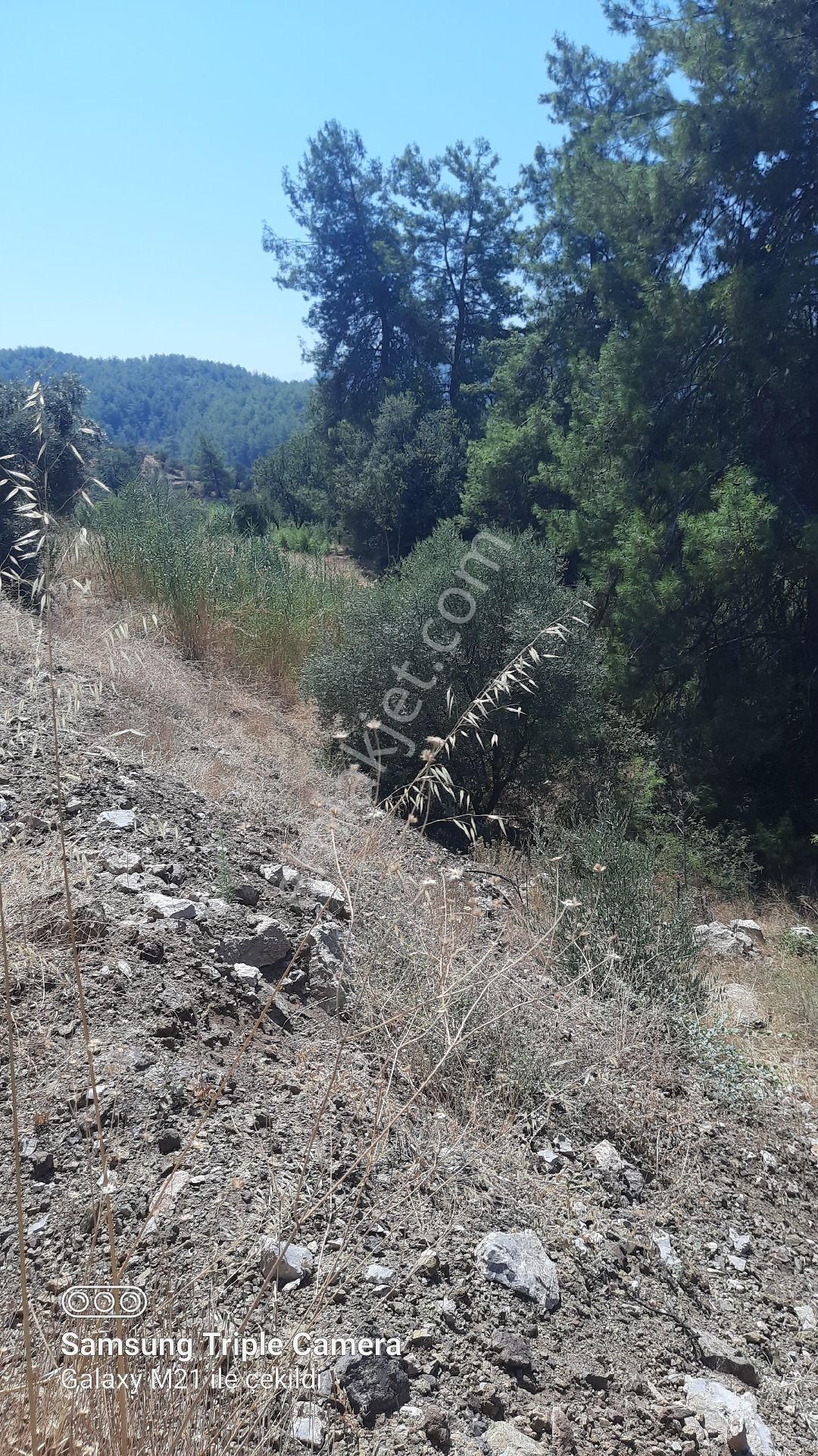İnlicede 1120 M2 Yer - Görsel 5
