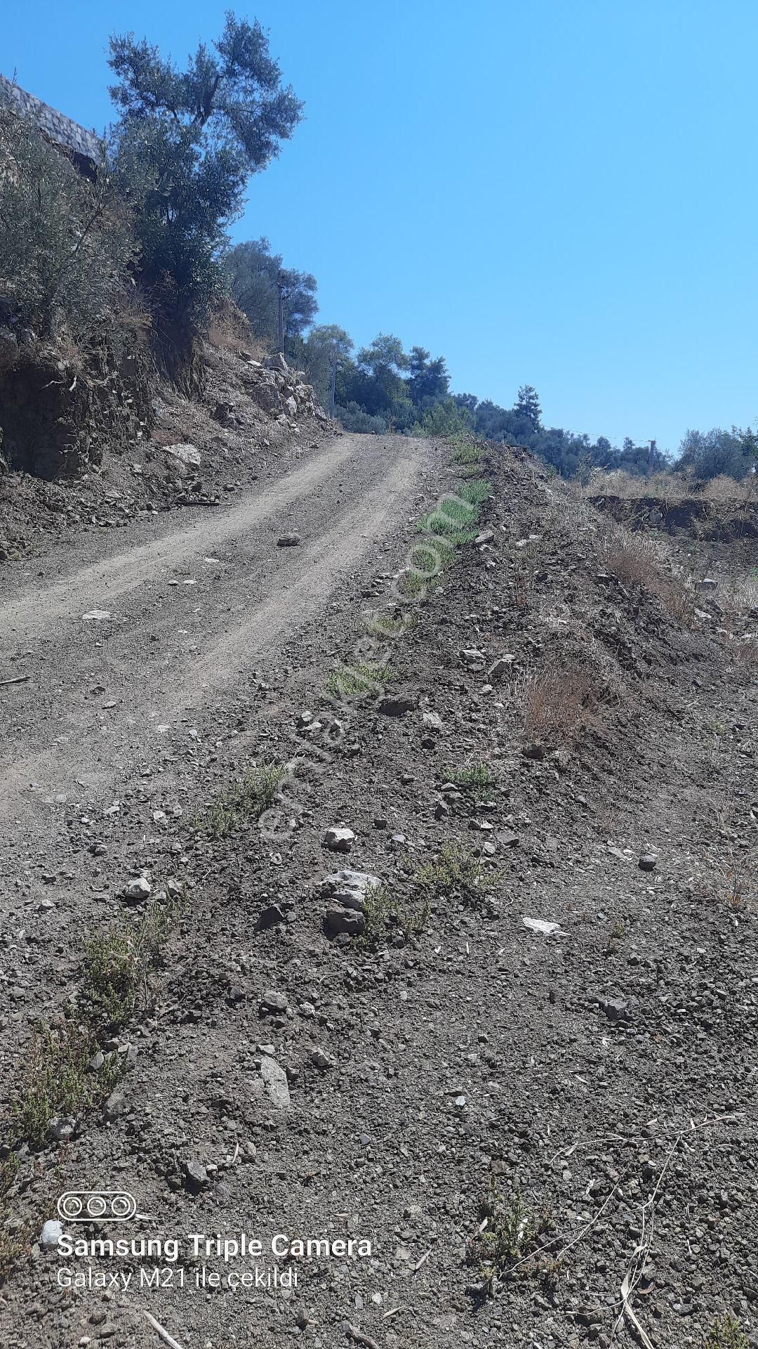 İnlicede 1120 M2 Yer - Görsel 7