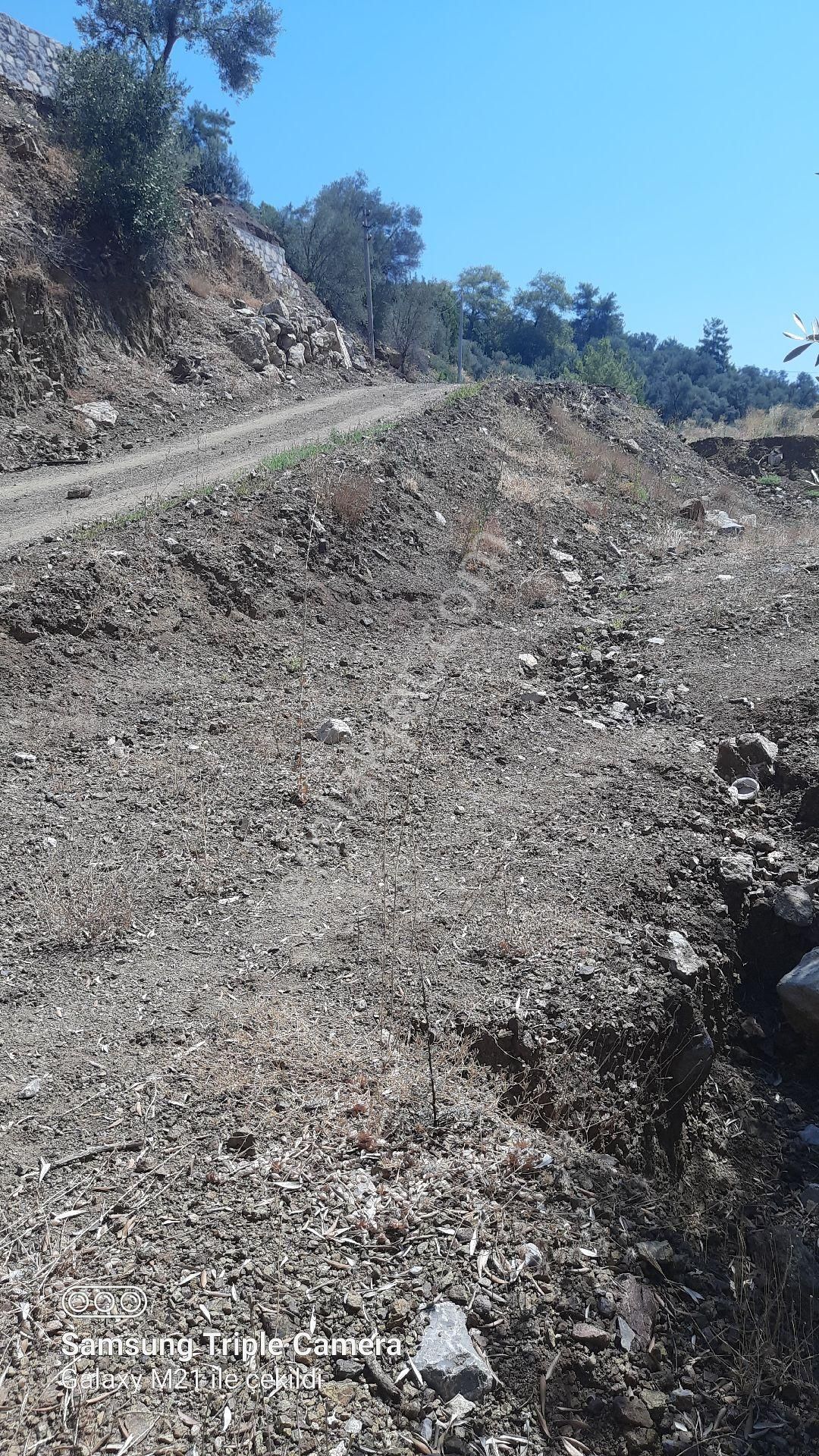 İnlicede 1120 M2 Yer - Görsel 11
