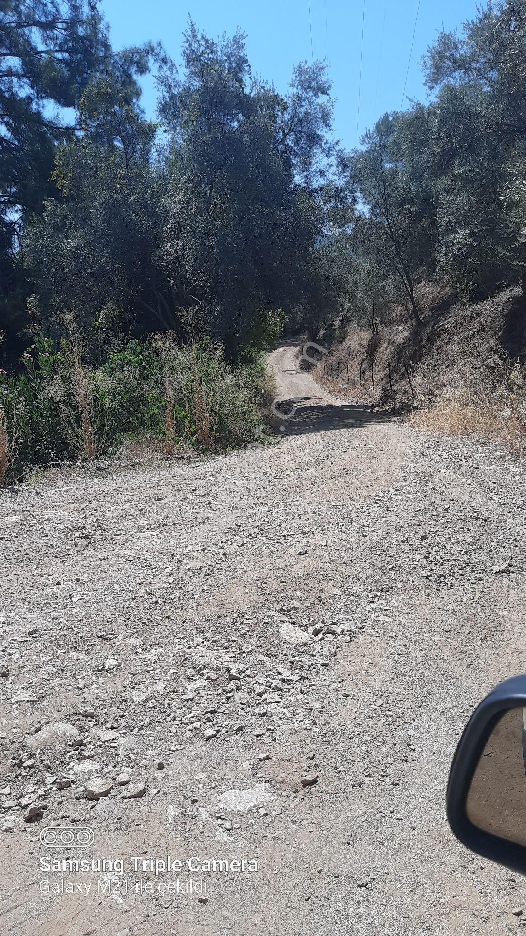 İnlicede 1120 M2 Yer - Görsel 2
