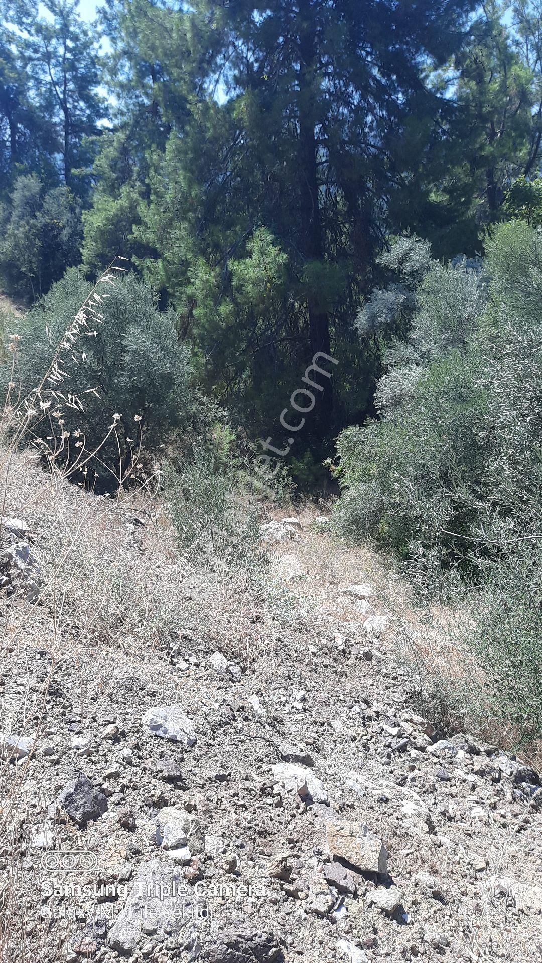 İnlicede 1120 M2 Yer - Görsel 10