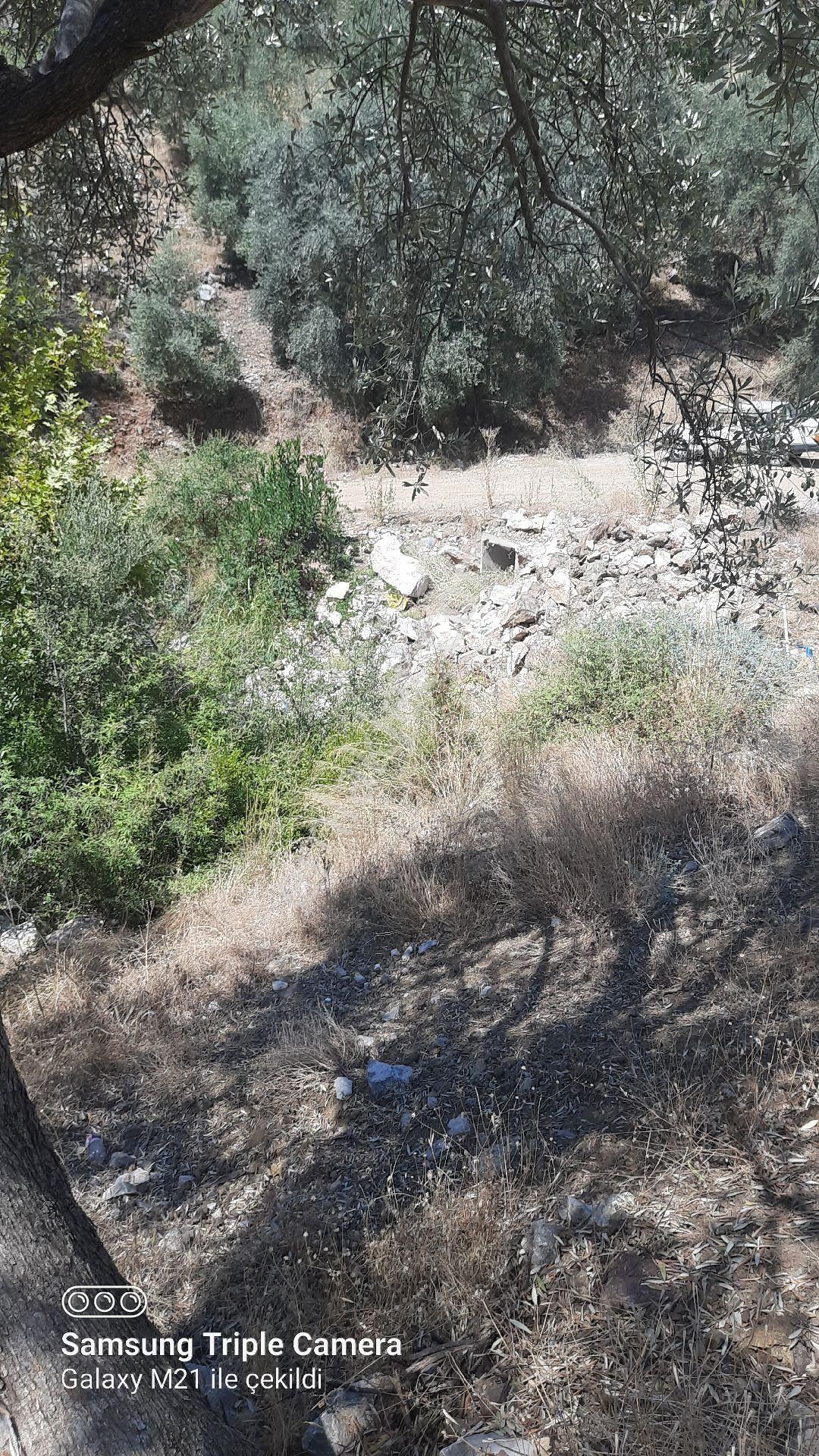İnlicede 1120 M2 Yer - Görsel 13
