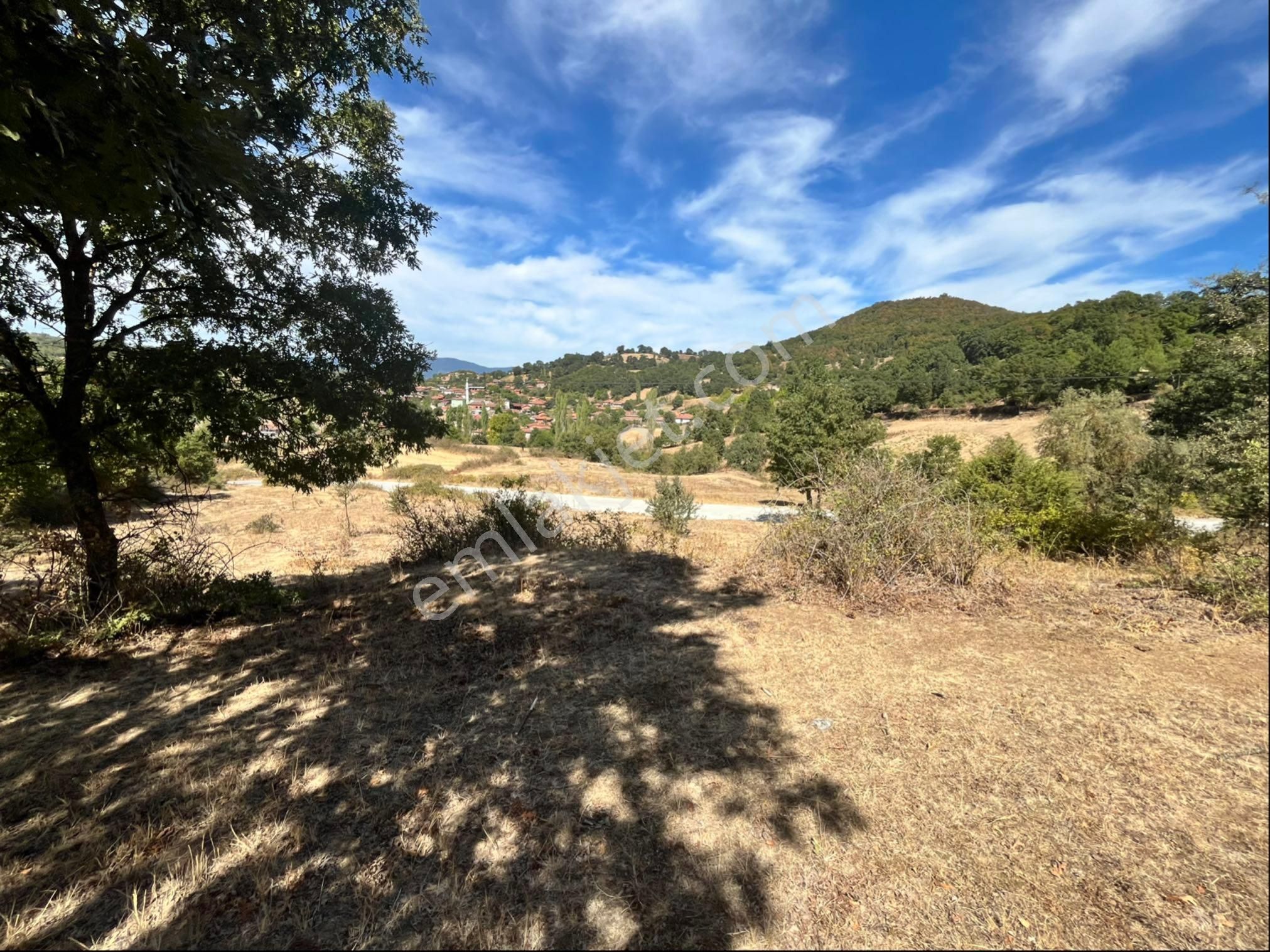 Köy Merkezine Yakın Ana Yol Üstünde Satılık Tarla - Görsel 3