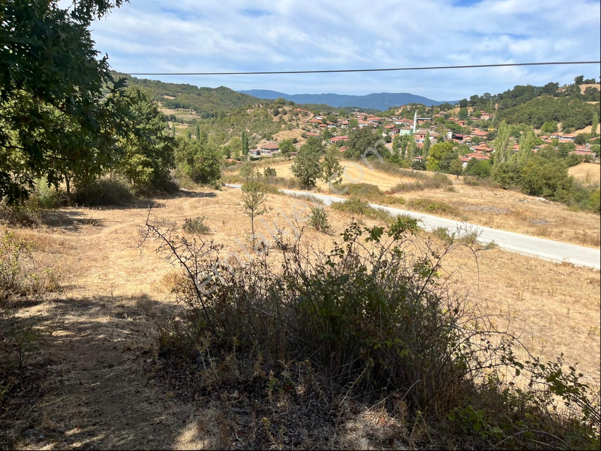 Köy Merkezine Yakın Ana Yol Üstünde Satılık Tarla