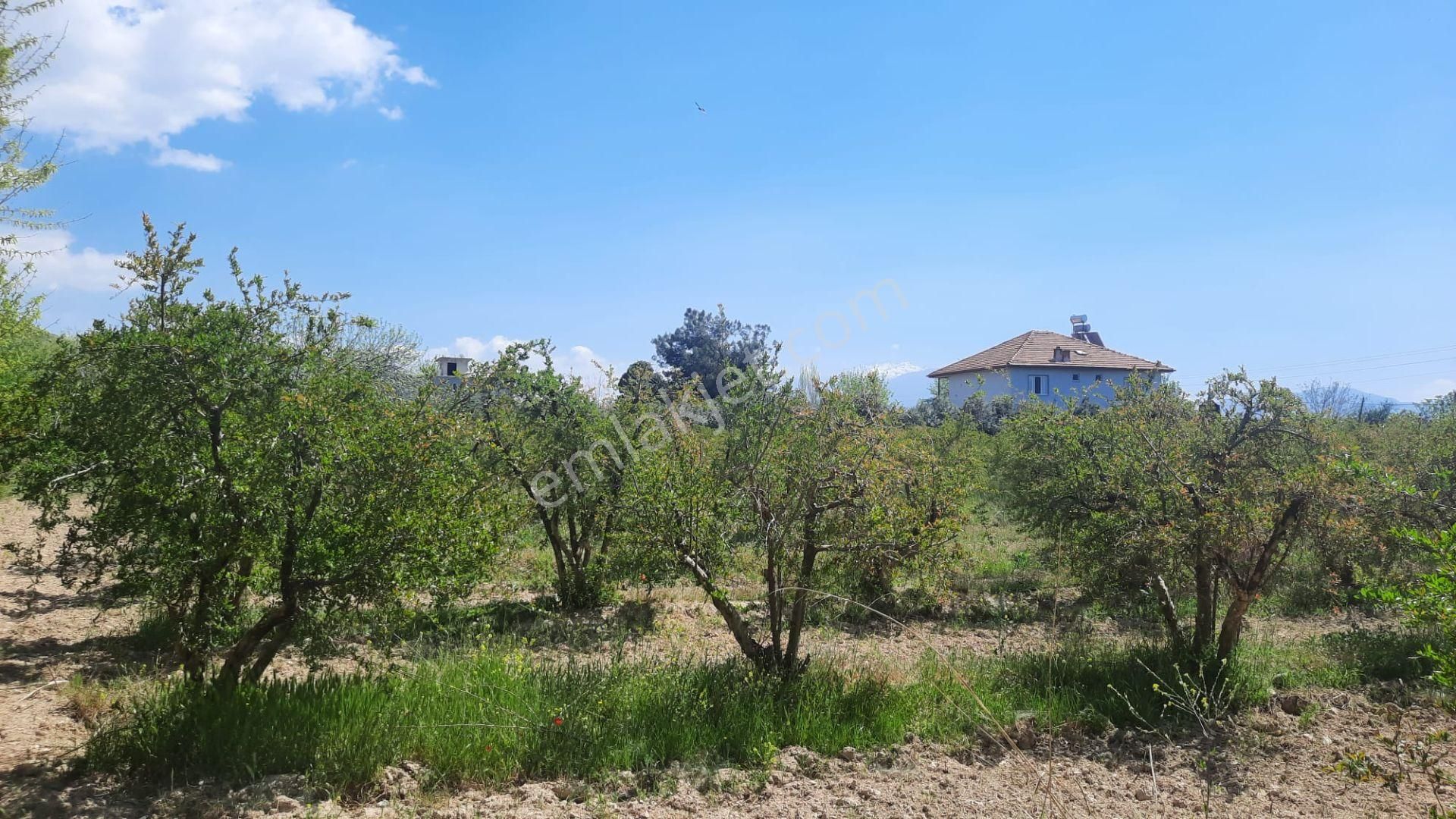 Lobby Fortisten Pamukkale Yeniköyde Satılık 5.412 M2 Nar Bahçesi - Görsel 8
