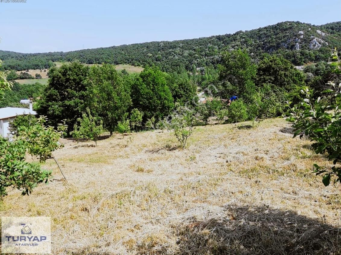 Nilüfer Maksempınar``da Satılık 1.600m2 Arazi - Görsel 7