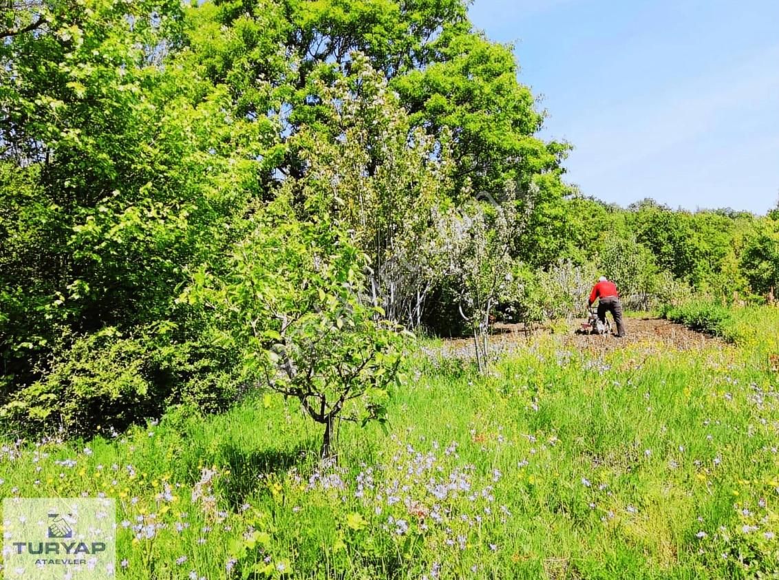 Nilüfer Maksempınar``da Satılık 1.600m2 Arazi - Görsel 5