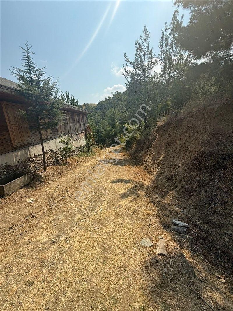 Bursa Nilüfer Dağyenice De Yola Cephe Satılık 2698 M2 Tarla 13.000.000 Tl - Görsel 3