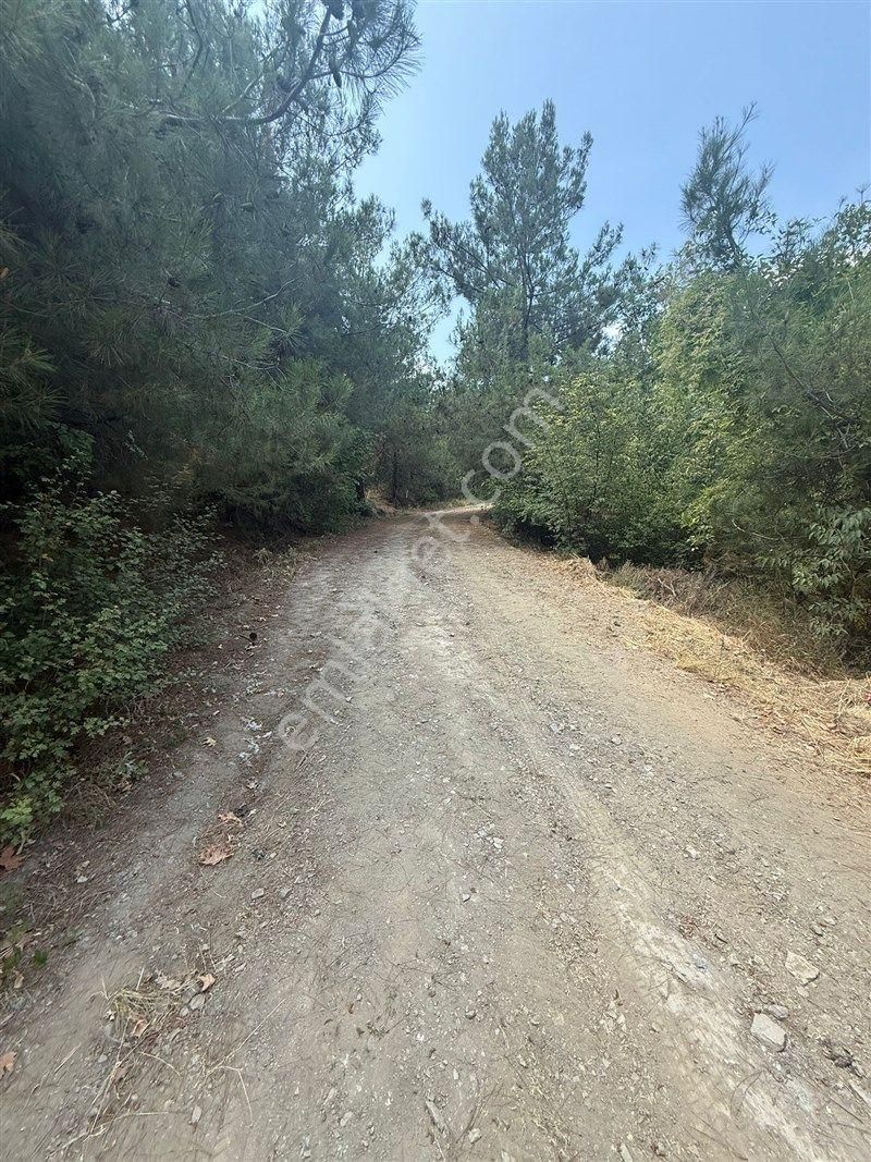 Bursa Nilüfer Dağyenice De Yola Cephe Satılık 2698 M2 Tarla 13.000.000 Tl - Görsel 15