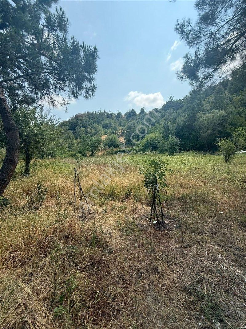 Bursa Nilüfer Dağyenice De Yola Cephe Satılık 2698 M2 Tarla 13.000.000 Tl - Görsel 14