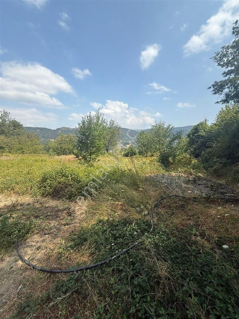 Bursa Nilüfer Dağyenice De Yola Cephe Satılık 2698 M2 Tarla 13.000.000 Tl - Görsel 20