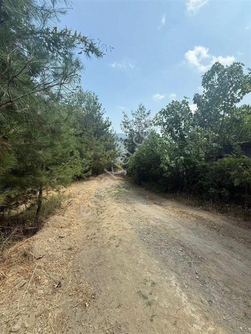 Bursa Nilüfer Dağyenice De Yola Cephe Satılık 2698 M2 Tarla 13.000.000 Tl