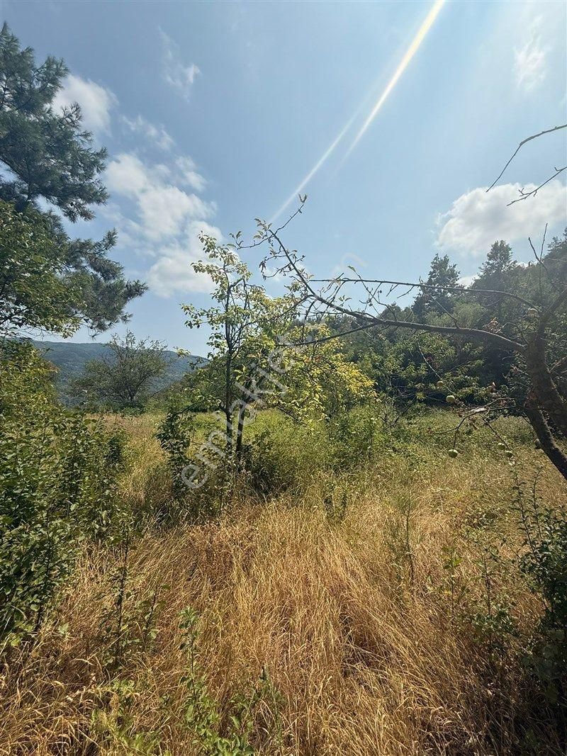 Bursa Nilüfer Dağyenice De Yola Cephe Satılık 2698 M2 Tarla 13.000.000 Tl - Görsel 11