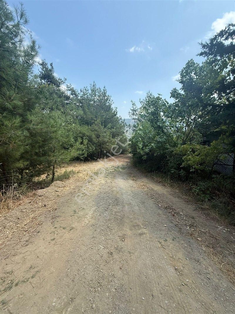 Bursa Nilüfer Dağyenice De Yola Cephe Satılık 2698 M2 Tarla 13.000.000 Tl - Görsel 16