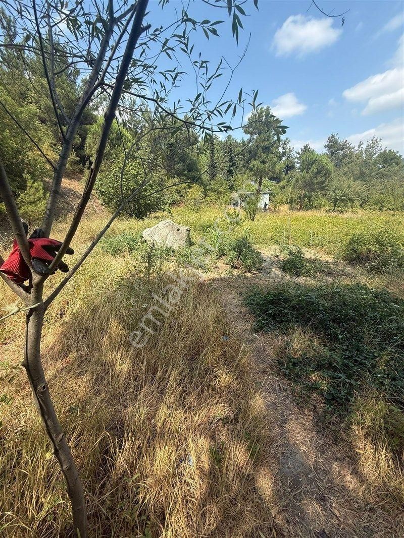 Bursa Nilüfer Dağyenice De Yola Cephe Satılık 2698 M2 Tarla 13.000.000 Tl - Görsel 6