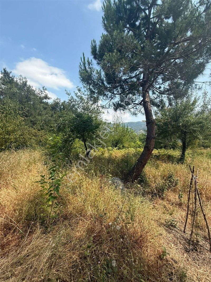 Bursa Nilüfer Dağyenice De Yola Cephe Satılık 2698 M2 Tarla 13.000.000 Tl - Görsel 19