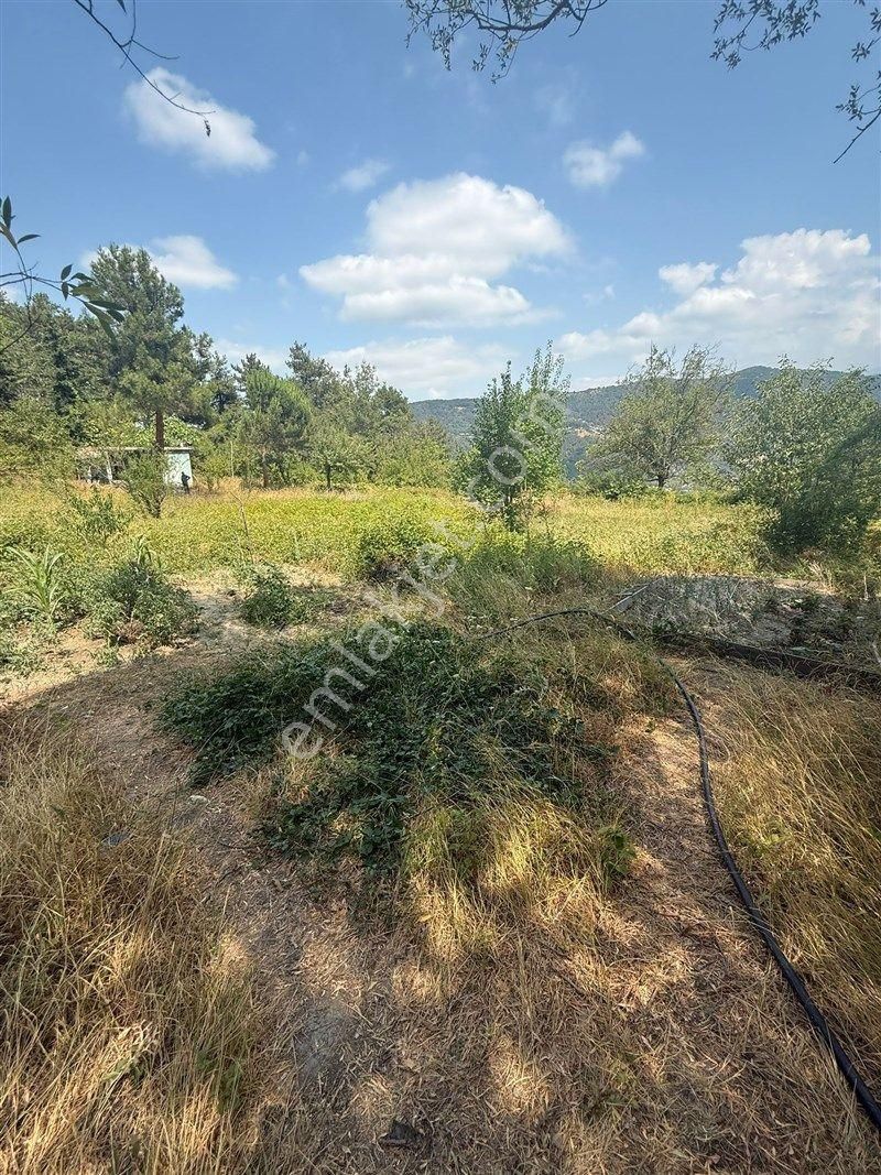 Bursa Nilüfer Dağyenice De Yola Cephe Satılık 2698 M2 Tarla 13.000.000 Tl - Görsel 10