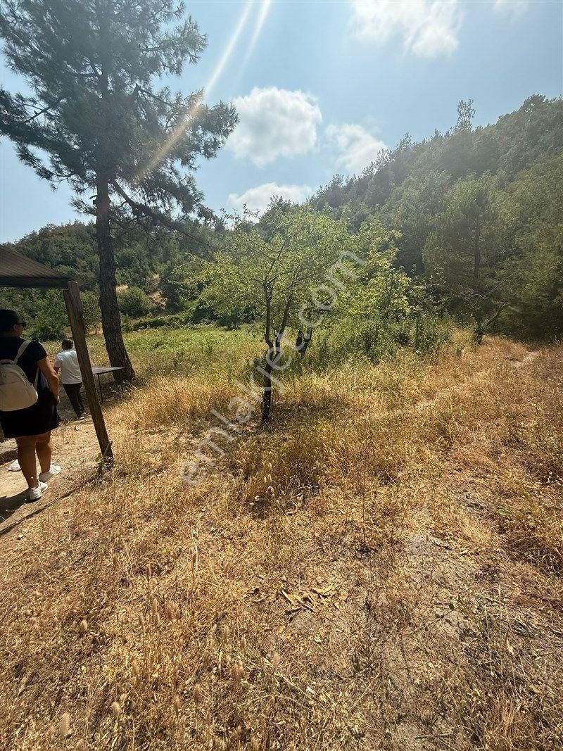 Bursa Nilüfer Dağyenice De Yola Cephe Satılık 2698 M2 Tarla 13.000.000 Tl - Görsel 13