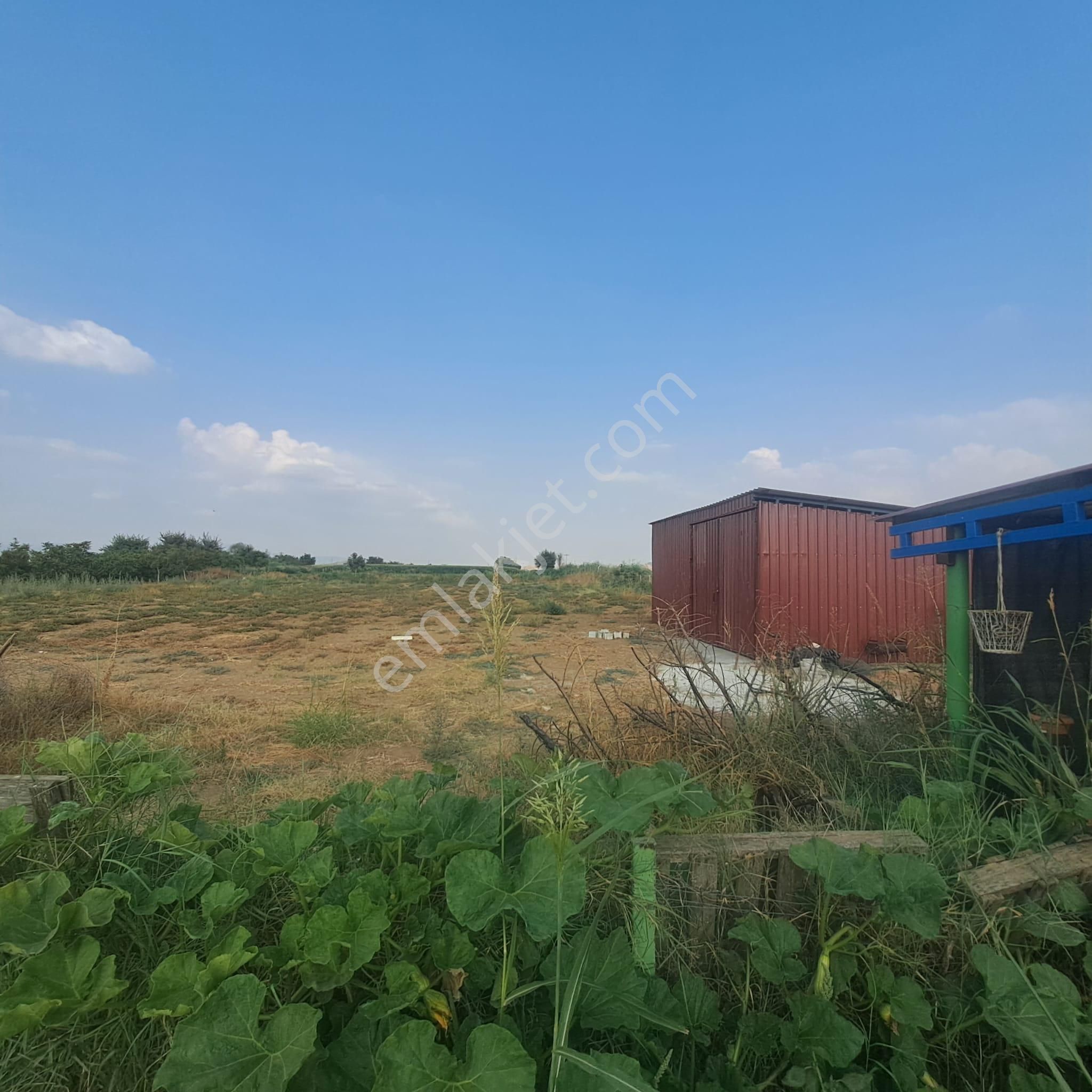 İzmir Tire Eskioba’da Yatırıma Uygun 64 Dönüm Satılık Arazi – Quantum Real Estate Güvencesiyle! - Görsel 9