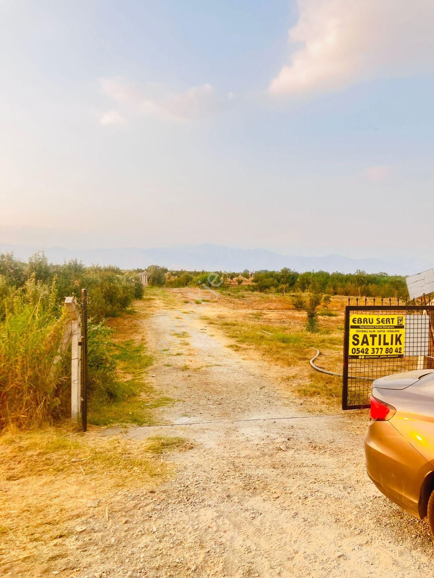 İzmir Tire Eskioba’da Yatırıma Uygun 64 Dönüm Satılık Arazi – Quantum Real Estate Güvencesiyle! - Görsel 13