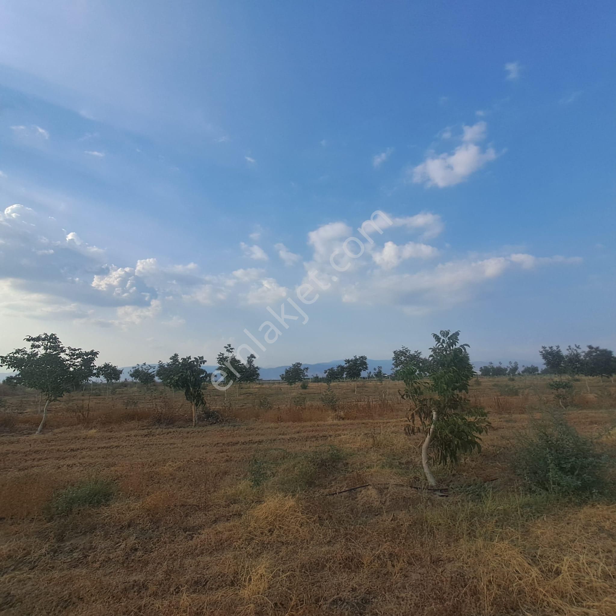 İzmir Tire Eskioba’da Yatırıma Uygun 64 Dönüm Satılık Arazi – Quantum Real Estate Güvencesiyle! - Görsel 10