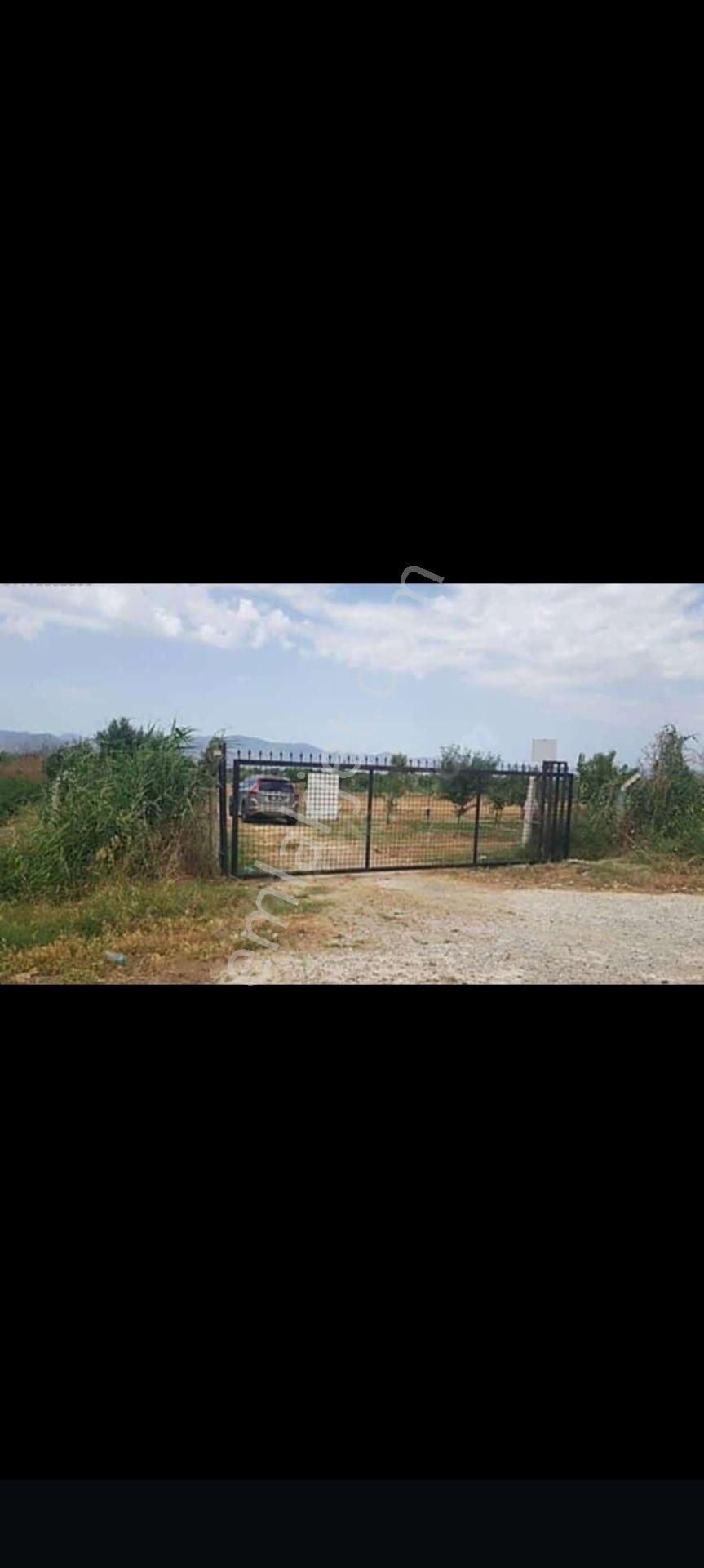 İzmir Tire Eskioba’da Yatırıma Uygun 64 Dönüm Satılık Arazi – Quantum Real Estate Güvencesiyle! - Görsel 3