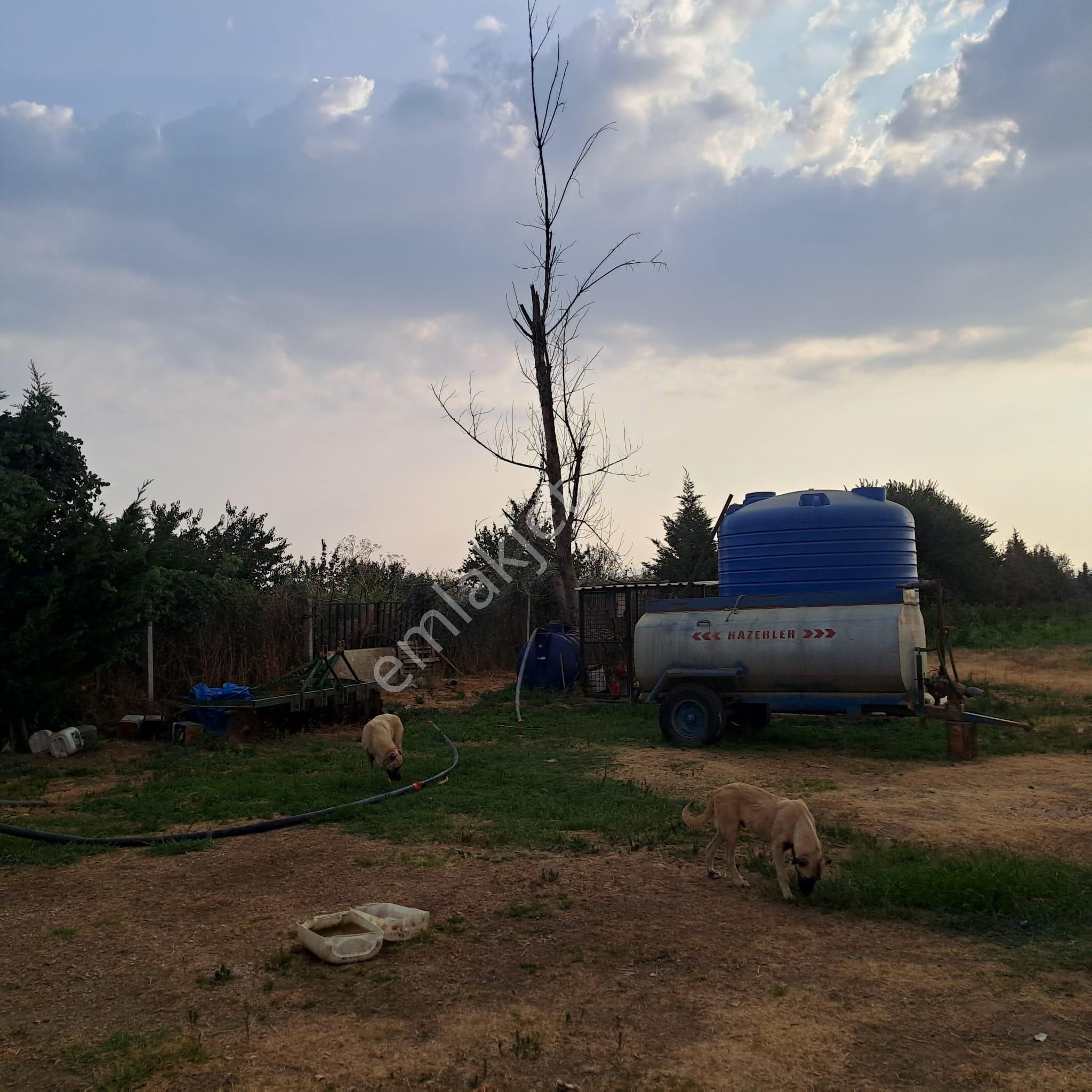 İzmir Tire Eskioba’da Yatırıma Uygun 64 Dönüm Satılık Arazi – Quantum Real Estate Güvencesiyle! - Görsel 19