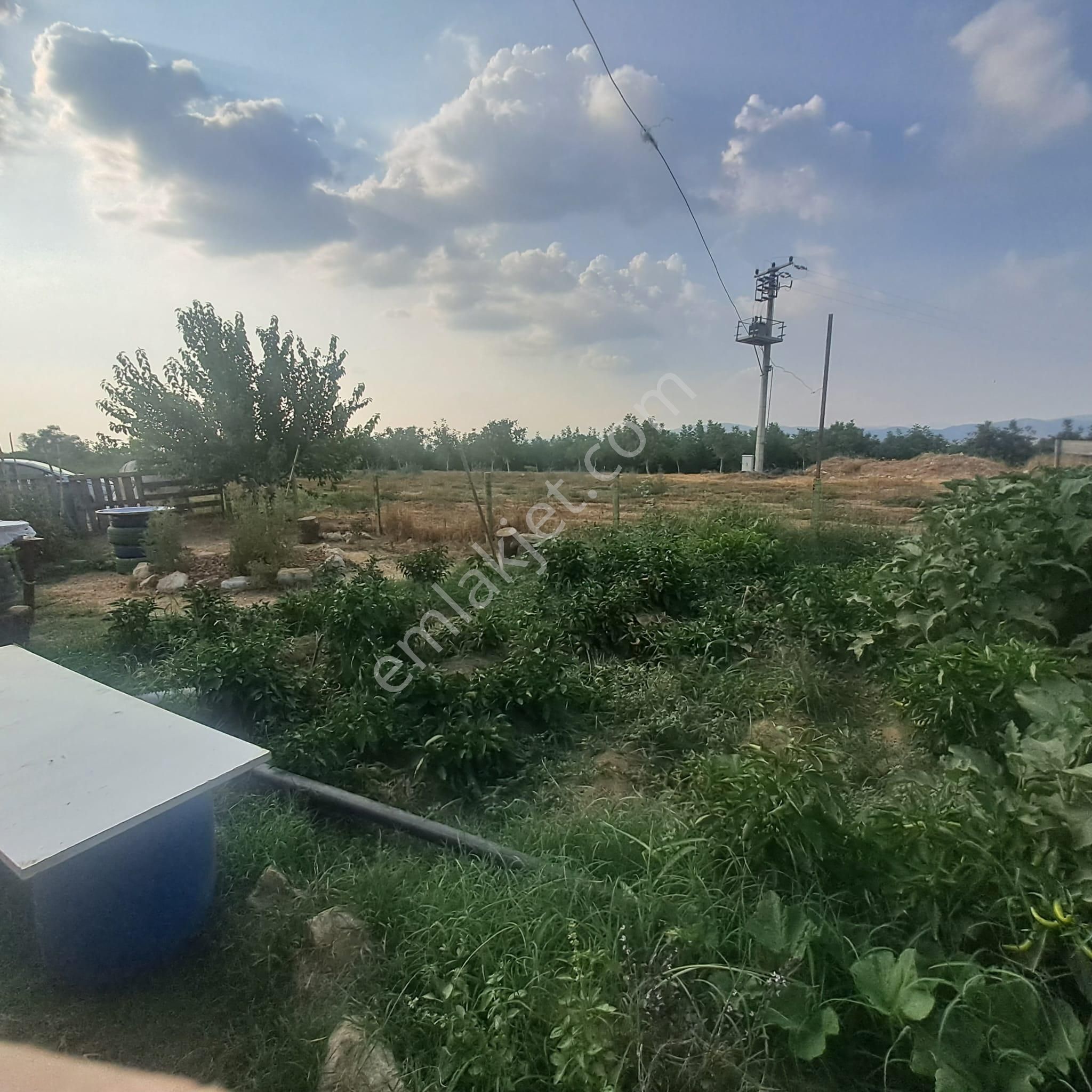 İzmir Tire Eskioba’da Yatırıma Uygun 64 Dönüm Satılık Arazi – Quantum Real Estate Güvencesiyle! - Görsel 5