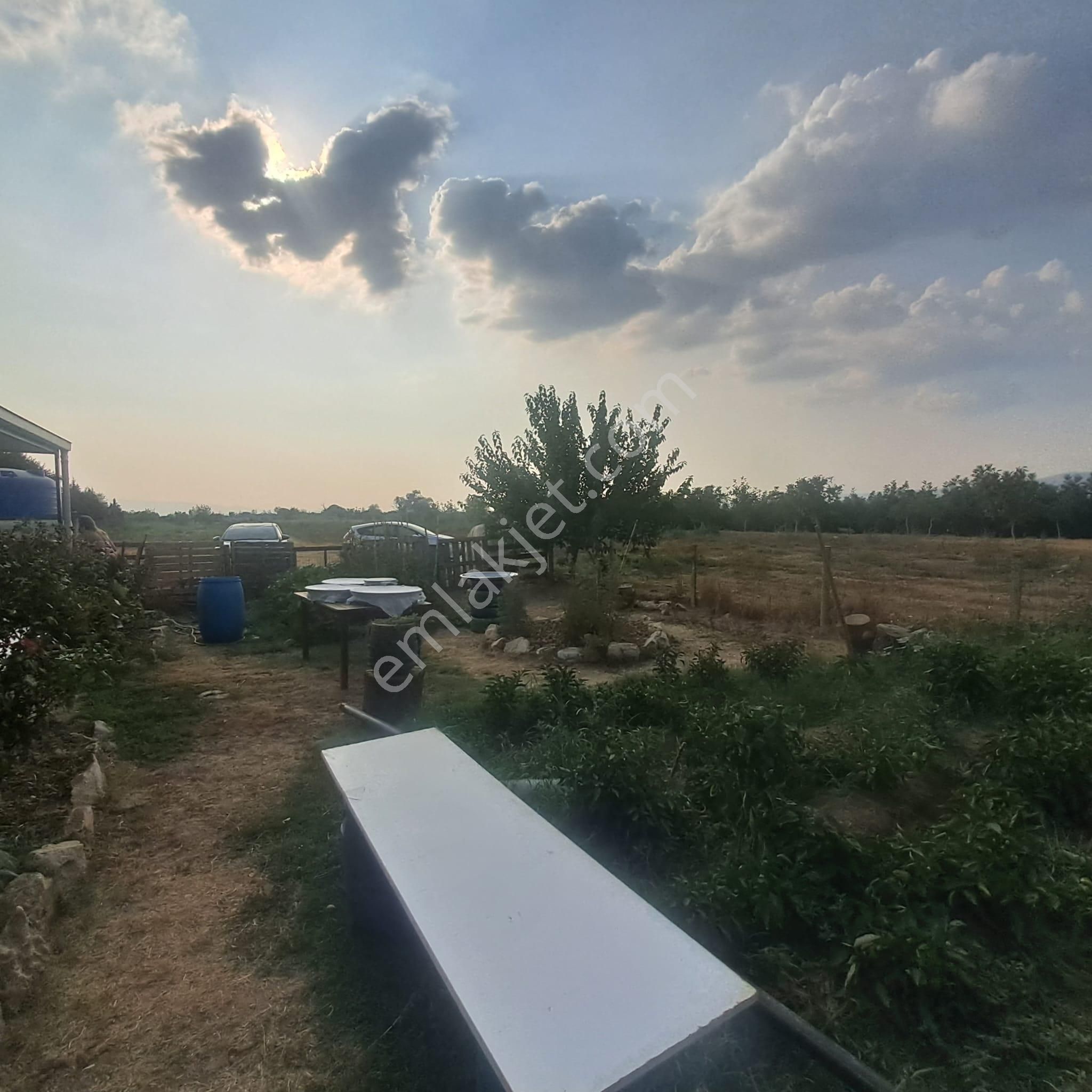 İzmir Tire Eskioba’da Yatırıma Uygun 64 Dönüm Satılık Arazi – Quantum Real Estate Güvencesiyle! - Görsel 7