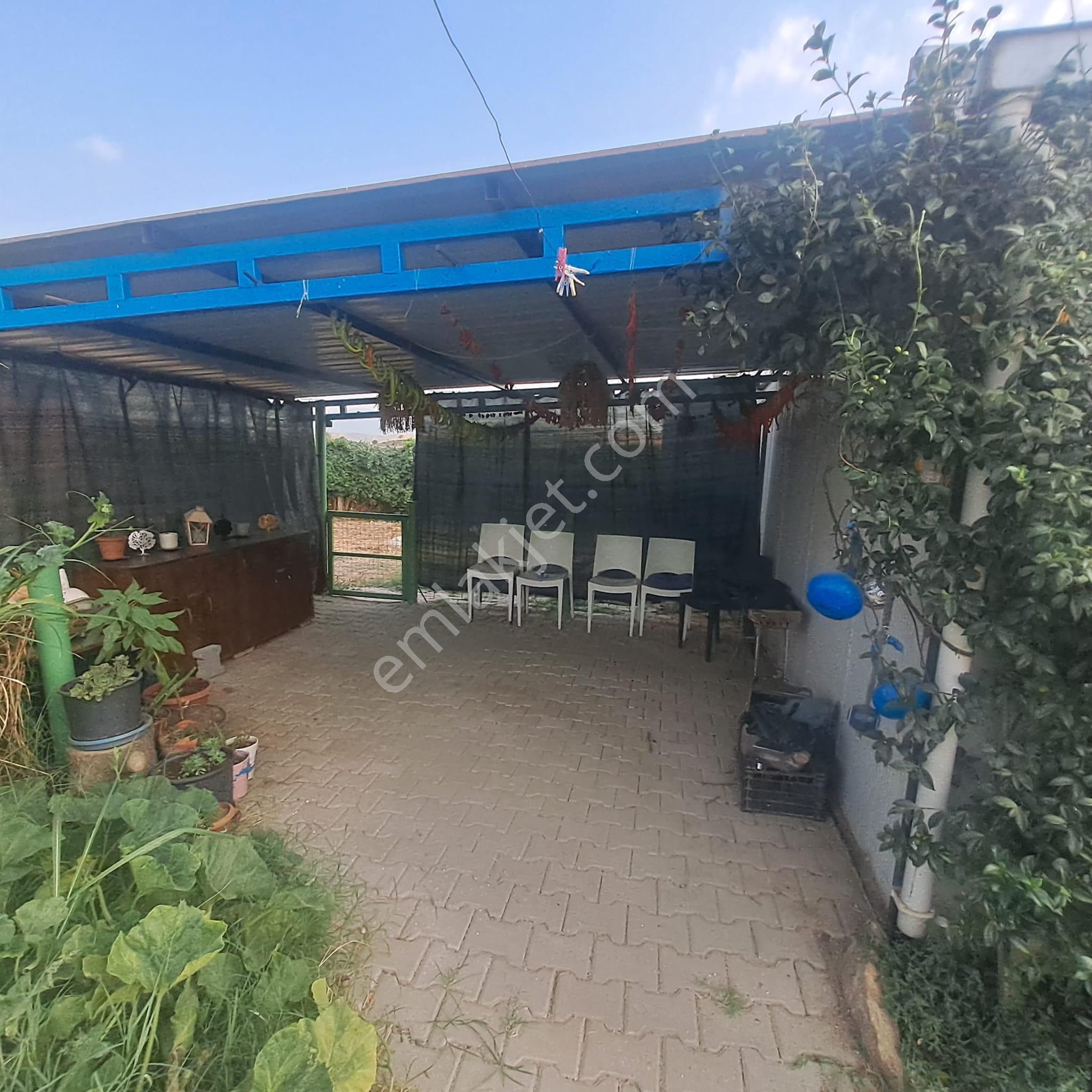 İzmir Tire Eskioba’da Yatırıma Uygun 64 Dönüm Satılık Arazi – Quantum Real Estate Güvencesiyle! - Görsel 4