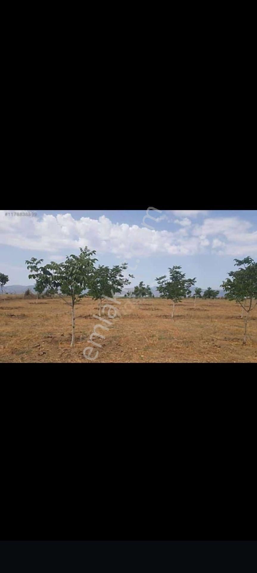 İzmir Tire Eskioba’da Yatırıma Uygun 64 Dönüm Satılık Arazi – Quantum Real Estate Güvencesiyle! - Görsel 16