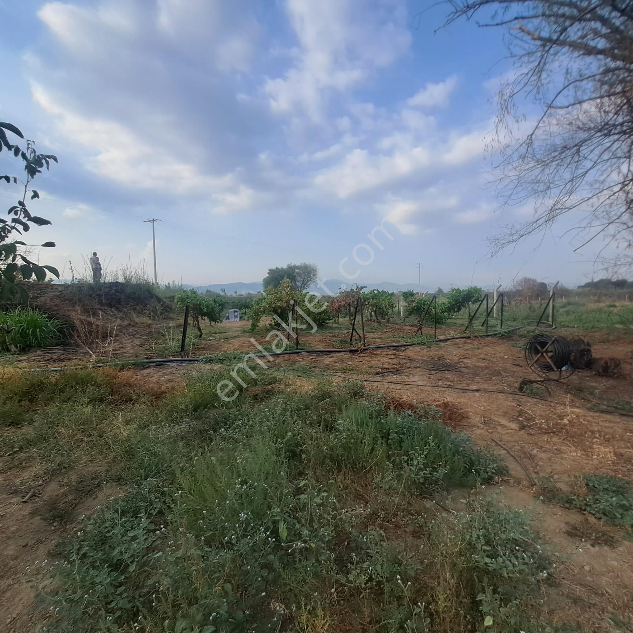 İzmir Tire Eskioba’da Yatırıma Uygun 64 Dönüm Satılık Arazi – Quantum Real Estate Güvencesiyle! - Görsel 22