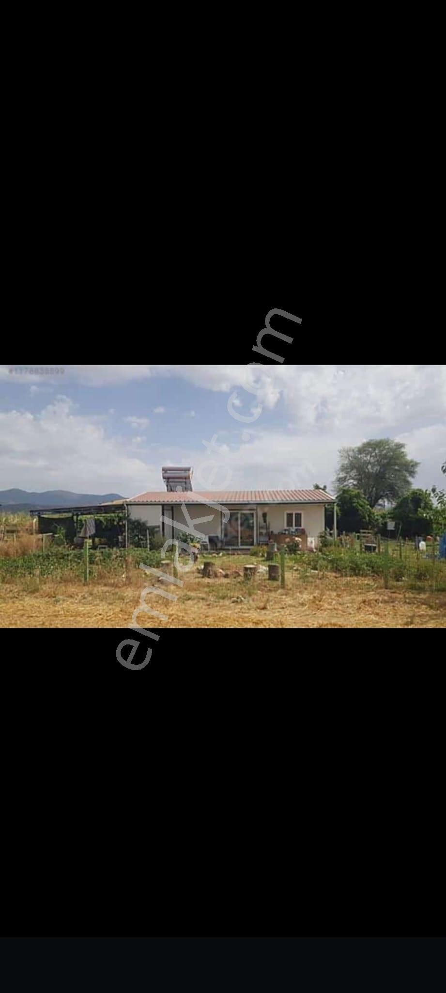 İzmir Tire Eskioba’da Yatırıma Uygun 64 Dönüm Satılık Arazi – Quantum Real Estate Güvencesiyle!