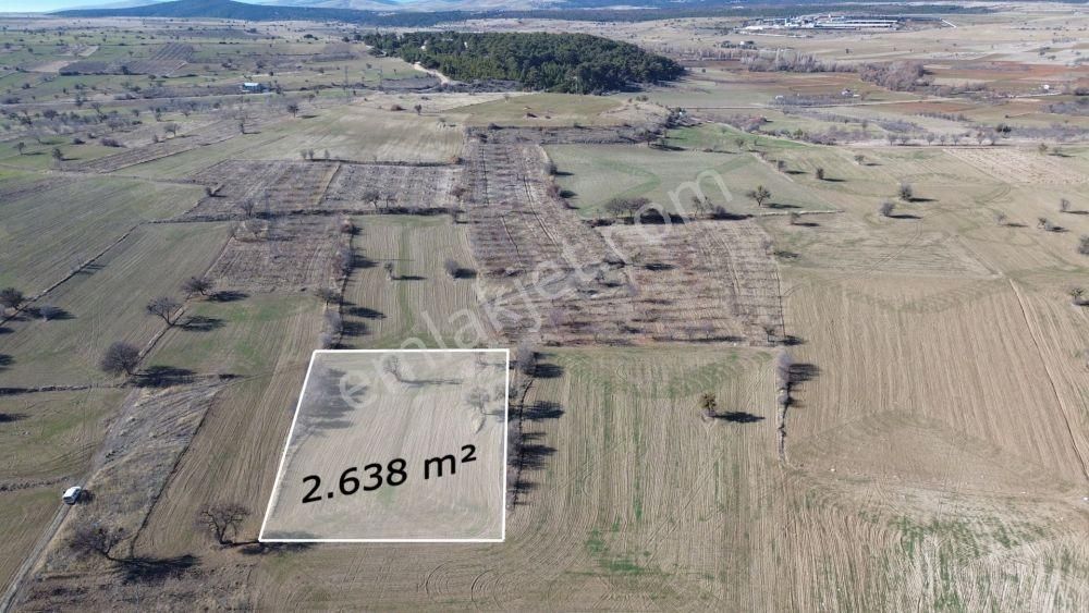 2.638 M² / Konya / Beyşehir / Yenidoğan / Tarla