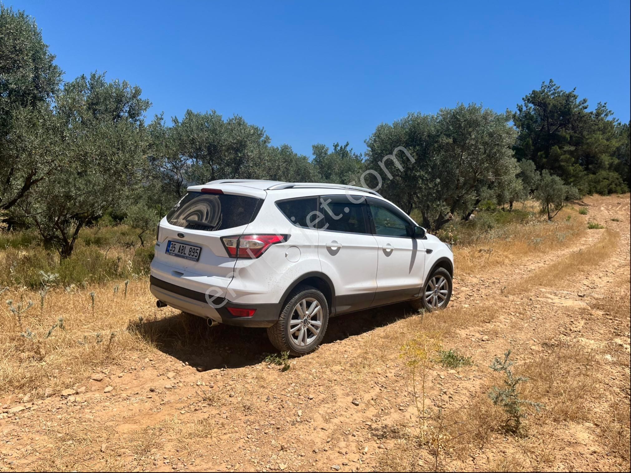 Torbalı Dirmil Mah 4902m2 Müstakil Parsel Satılık Zeytinlik - Görsel 12