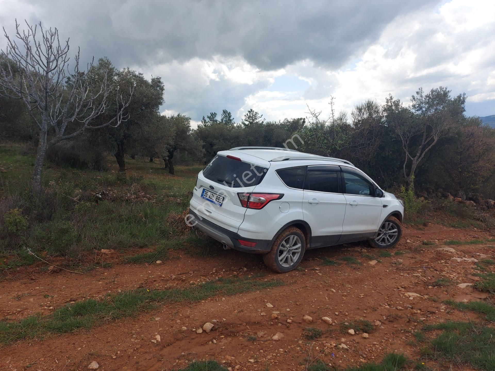 Torbalı Dirmil Mah 4902m2 Müstakil Parsel Satılık Zeytinlik - Görsel 8