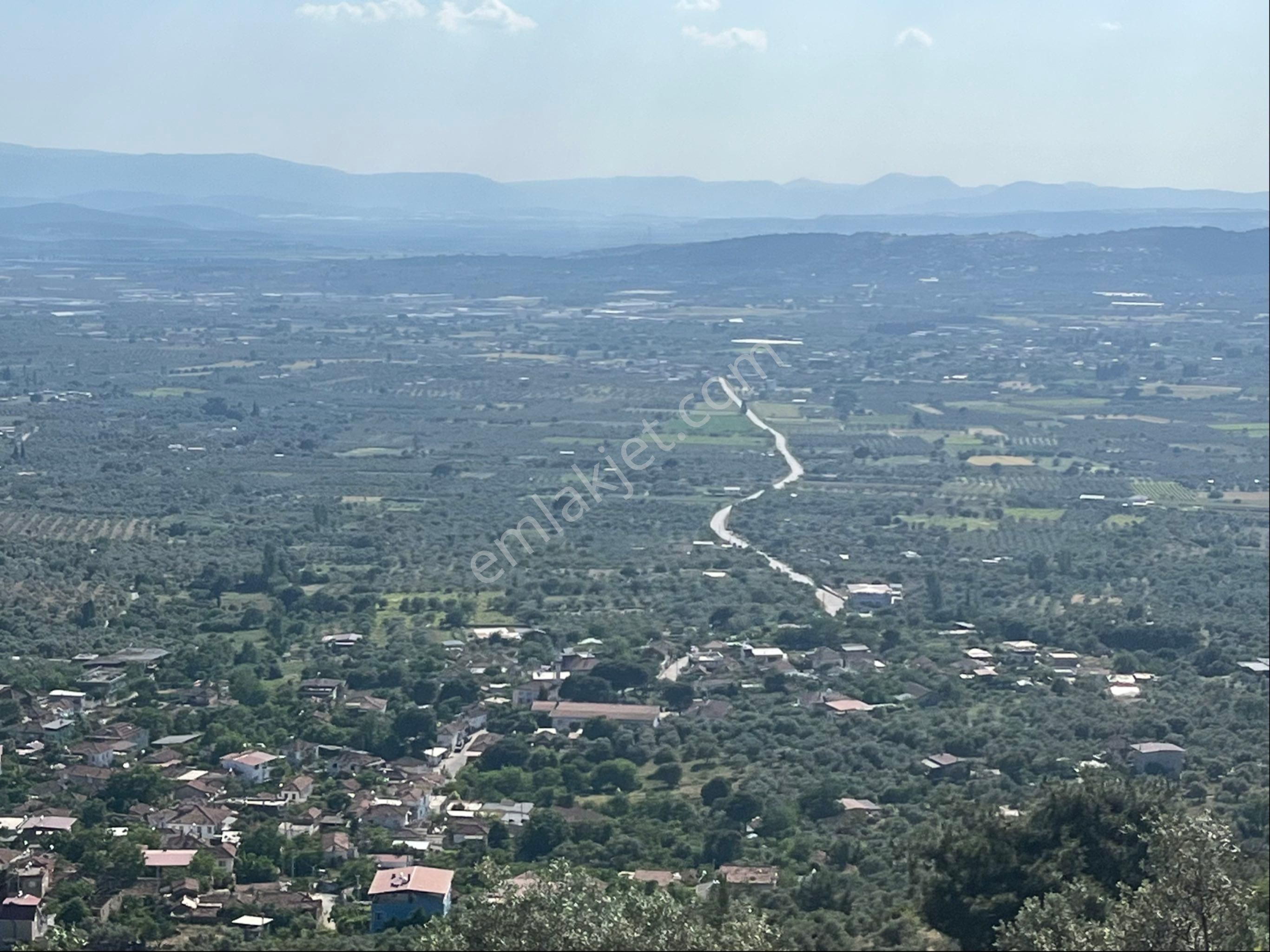 Torbalı Dirmil Mah 2080m2 Ata Mirasından Bölünme Zeytinlik - Görsel 2