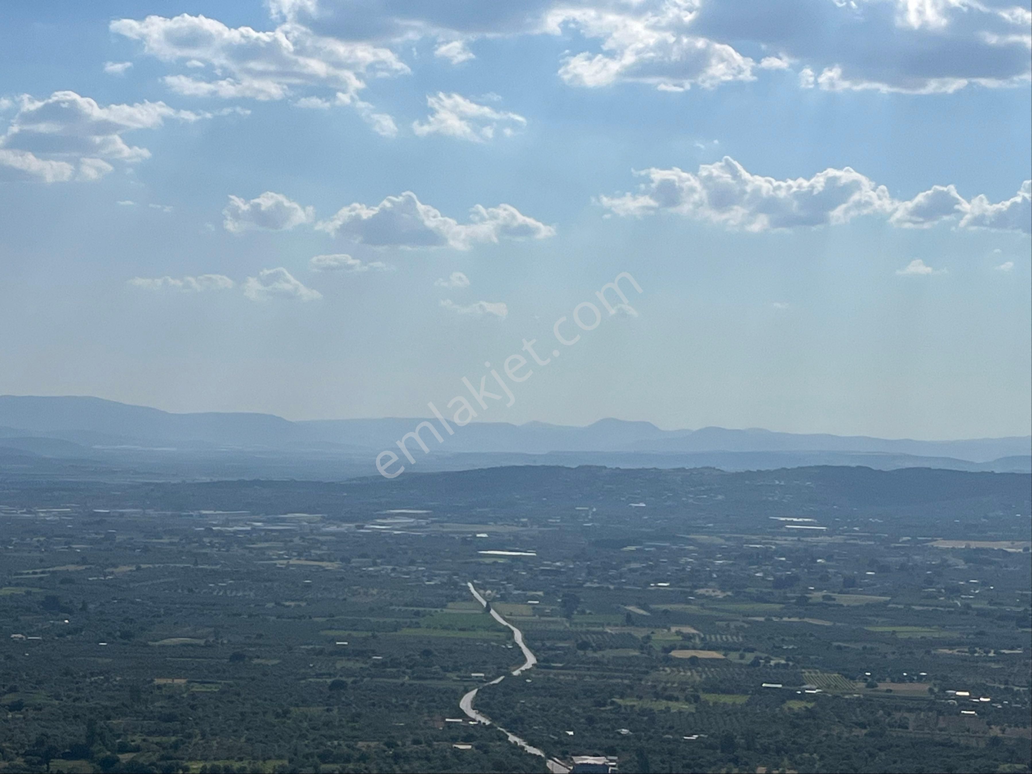 Torbalı Dirmil Mah 2080m2 Ata Mirasından Bölünme Zeytinlik - Görsel 12