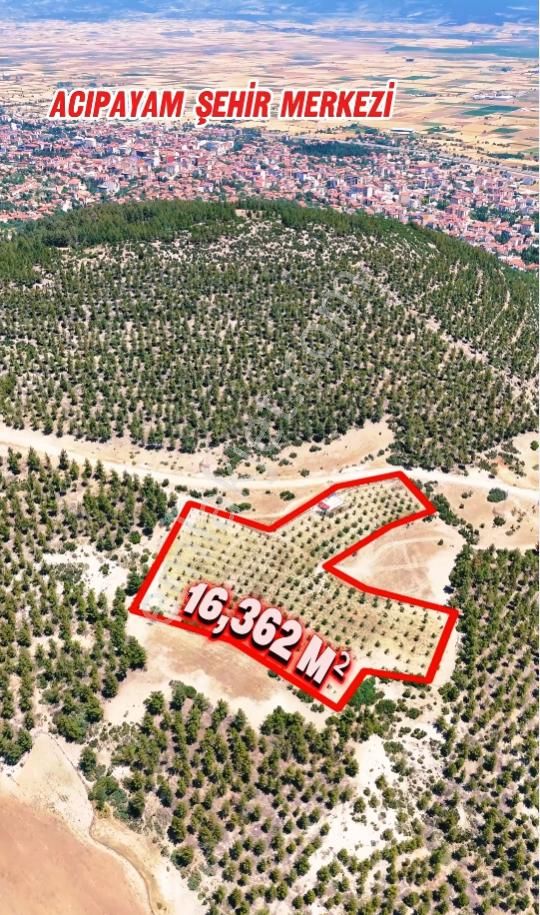 Şahin Emlaktan Denizli Acıpayam Yukarı Mah.5 Tapulu Toplam 16.362 M2 Kurulu Düzen Ceviz Bahçesi - Görsel 2