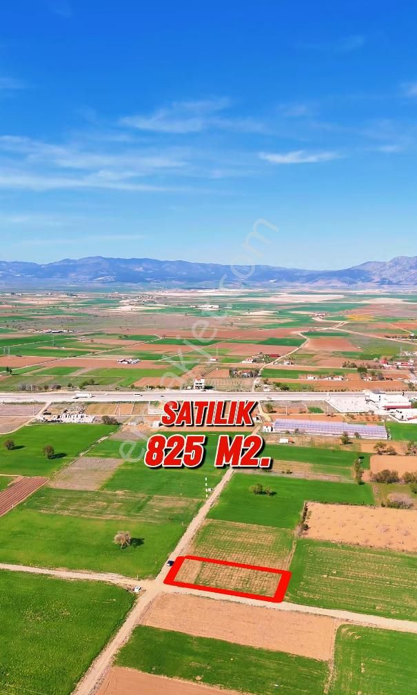 Şahin Büke Emlak'tan Denizli/acıpayam Pınaryazı Mah. 825 M2 Satılık Tarla