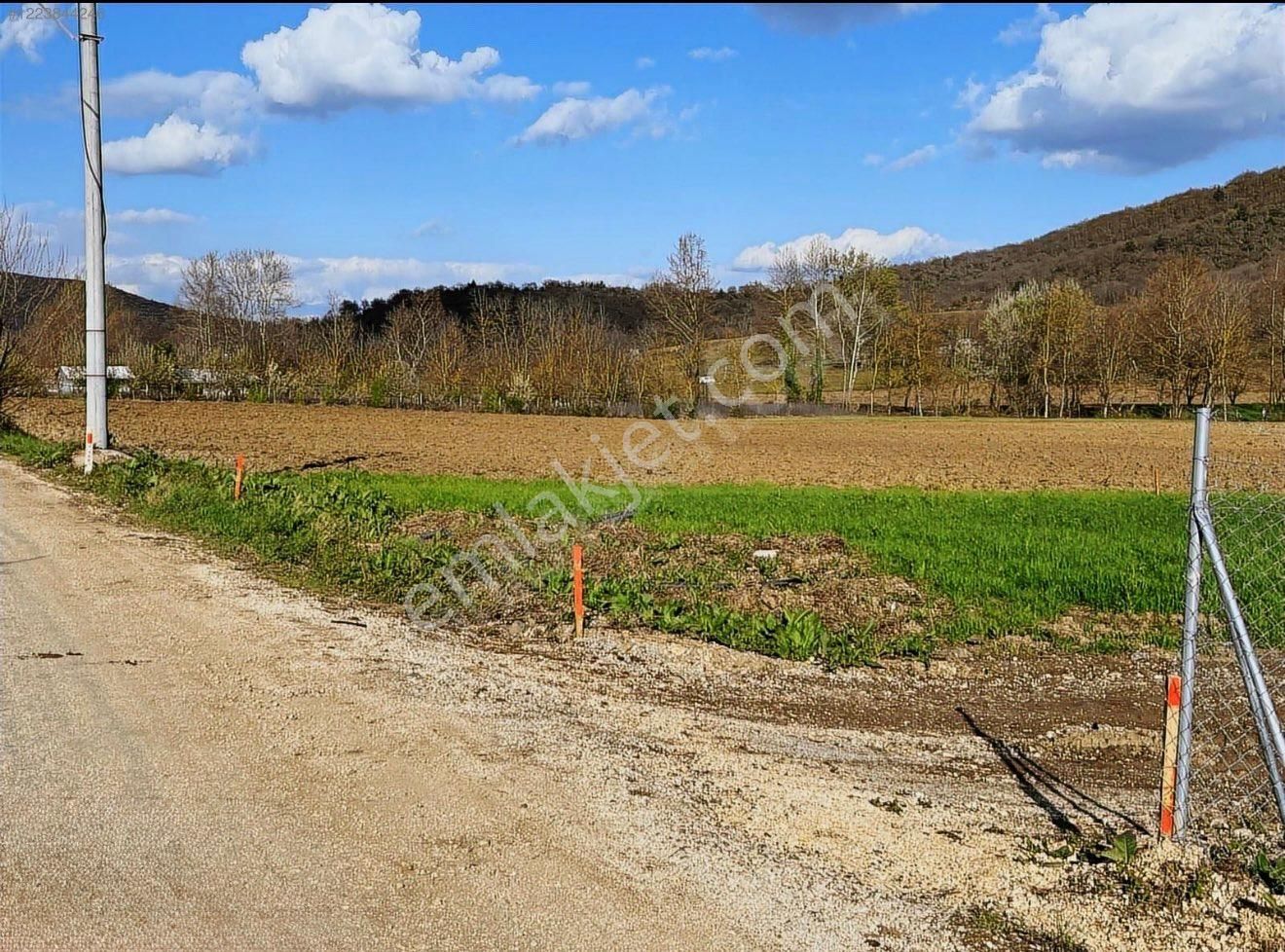 Kestel Gölcük Köyü Ana Yol Üzeri Hobi Bahçesi - Görsel 8