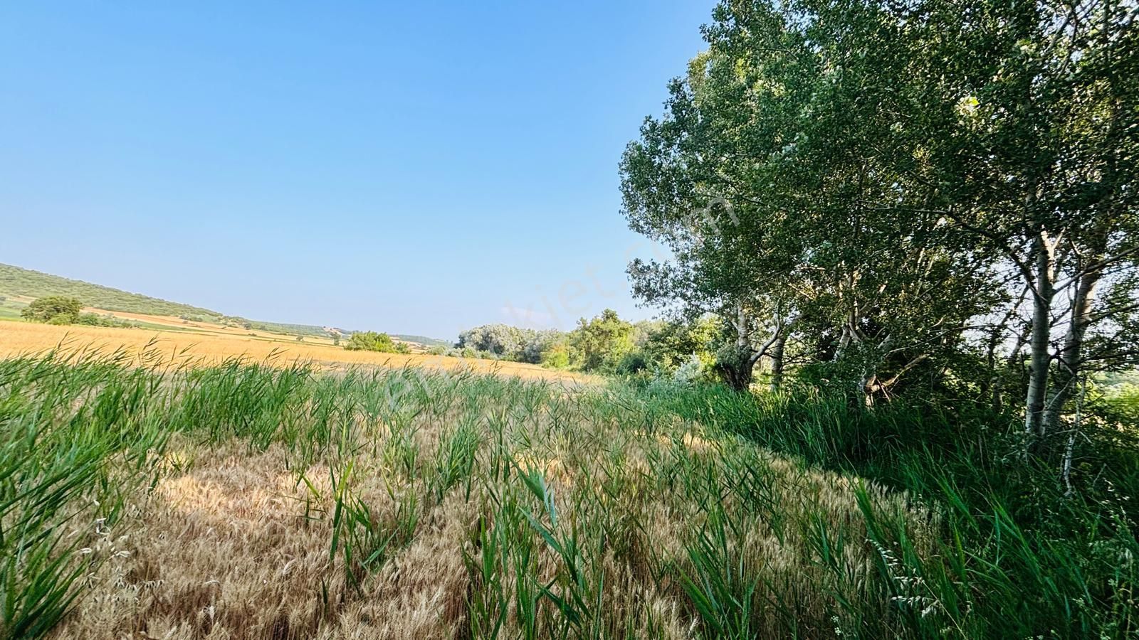 Bursa Mudanya Çayönü Mahallesinde Yatırıma Uygun 875 M2 Tarla - Görsel 3