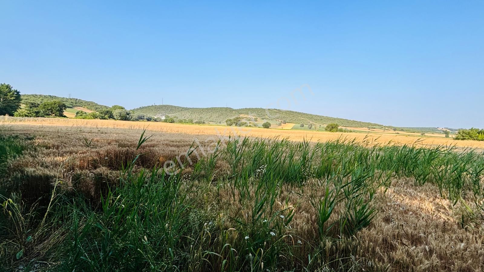 Bursa Mudanya Çayönü Mahallesinde Yatırıma Uygun 875 M2 Tarla - Görsel 4