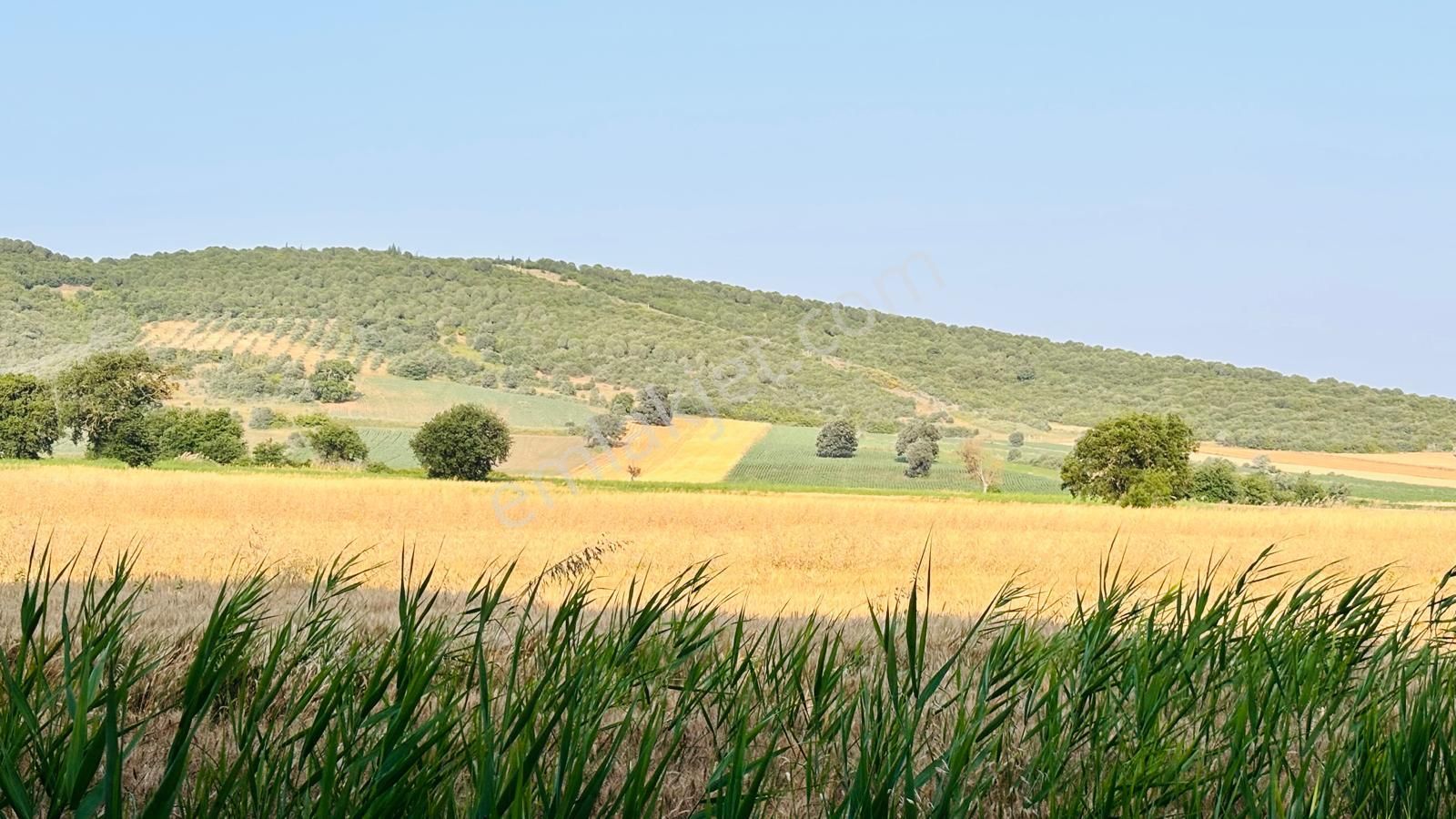Bursa Mudanya Çayönü Mahallesinde Yatırıma Uygun 875 M2 Tarla - Görsel 6