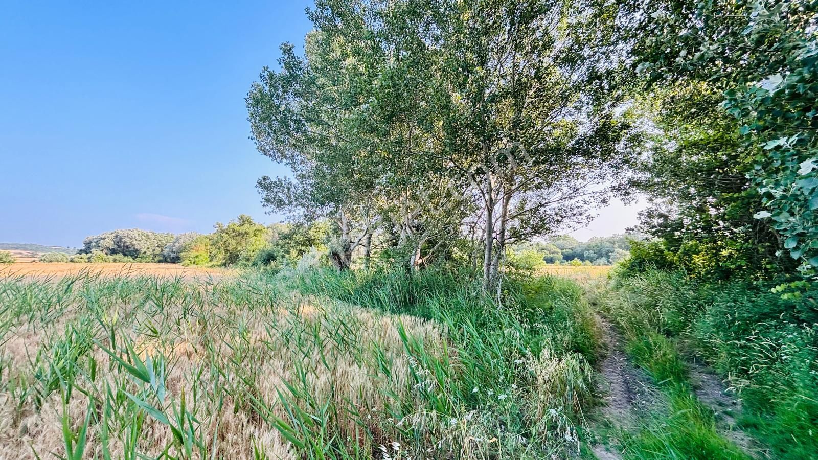 Bursa Mudanya Çayönü Mahallesinde Yatırıma Uygun 875 M2 Tarla - Görsel 2