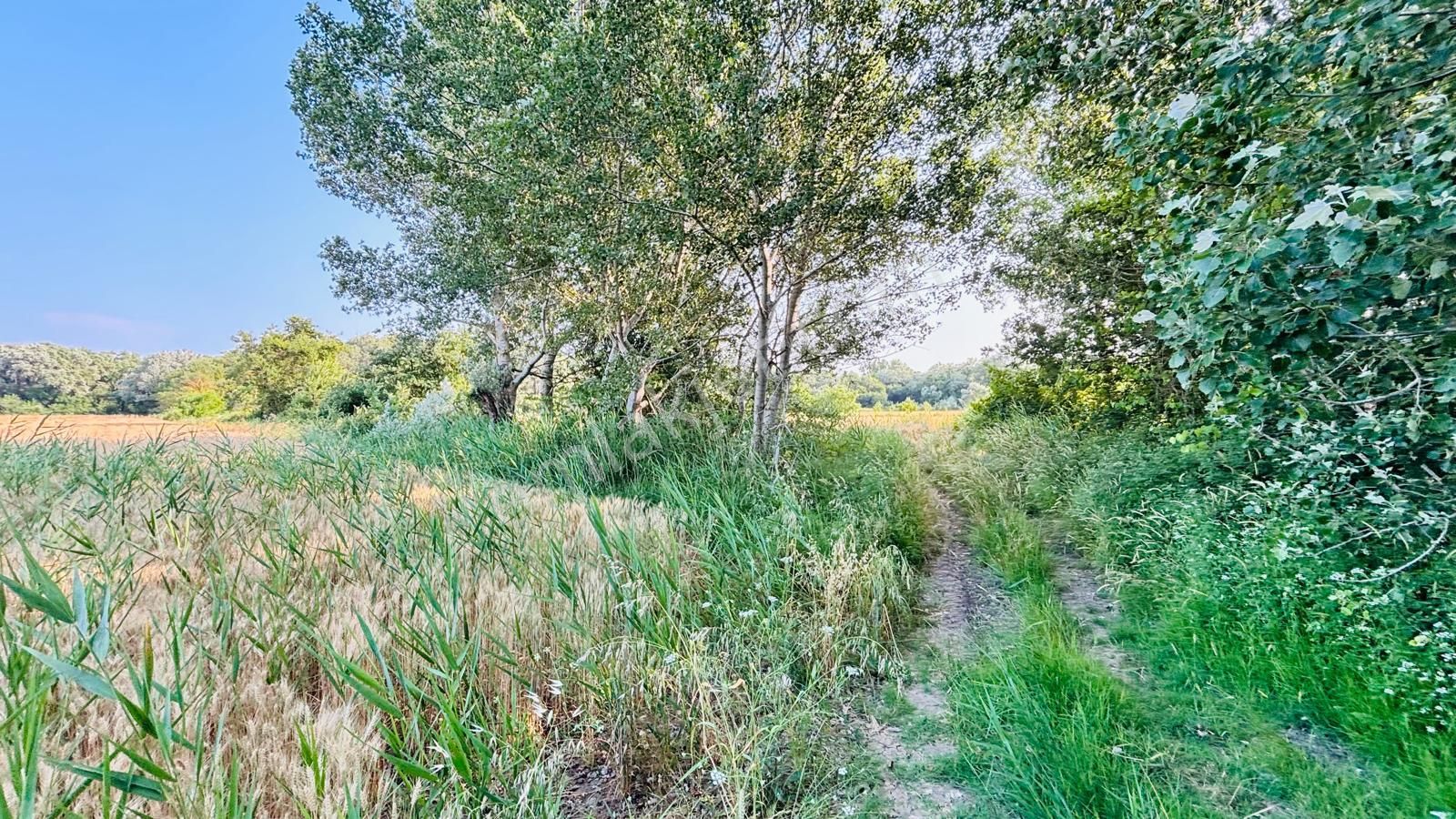 Bursa Mudanya Çayönü Mahallesinde Yatırıma Uygun 875 M2 Tarla - Görsel 5