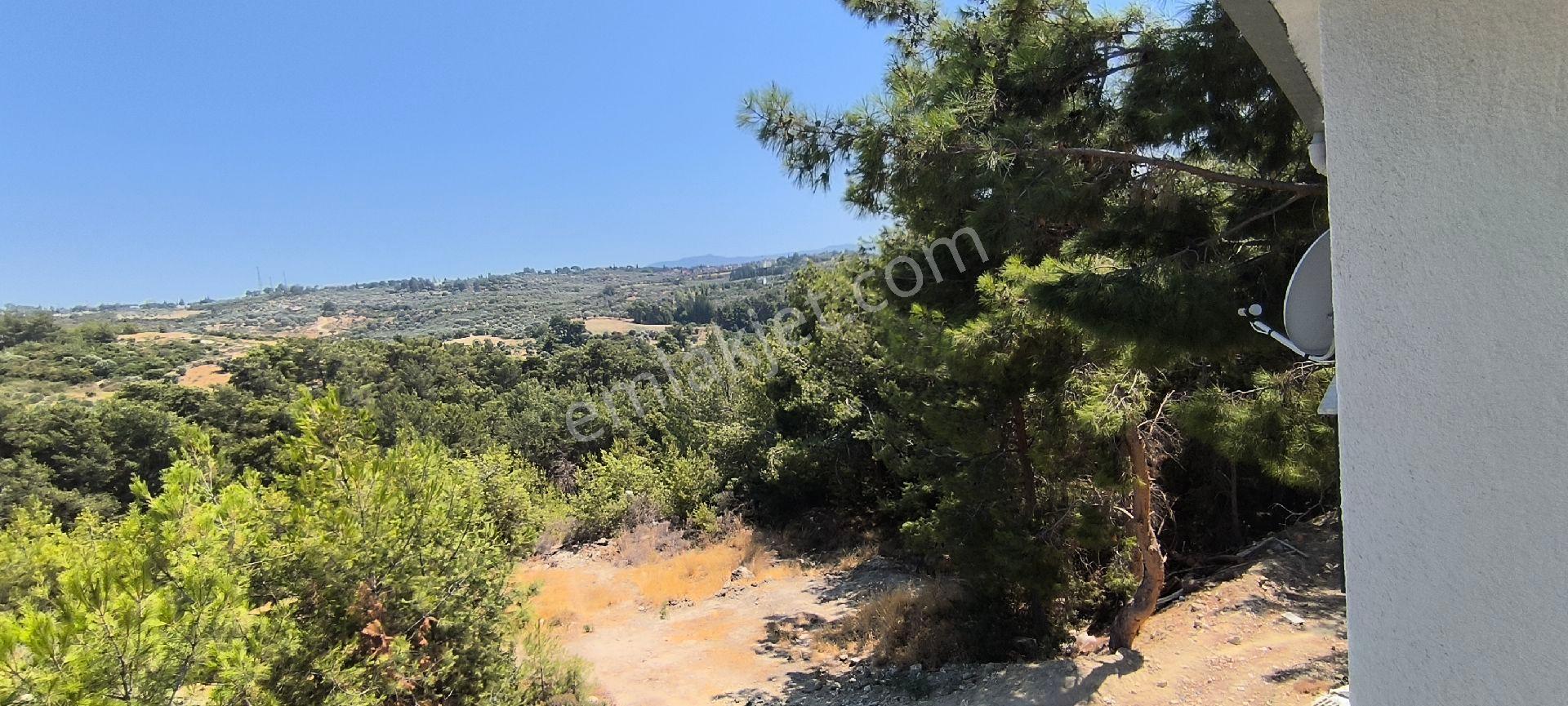 Kuşadası Efes Evlerinde Kiralık Sıfır Tripleks - Görsel 23
